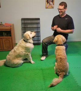 Dan Grant Denver dog training